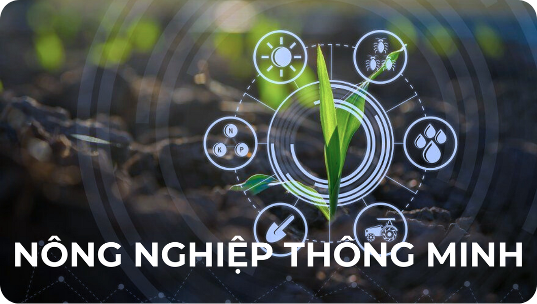 This is Timeline Item 1 Title